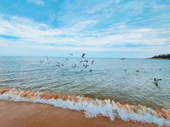 -威海国际海水浴场旅游区