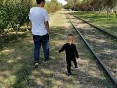 -永定河休闲森林公园