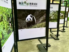 -西安电影制片厂