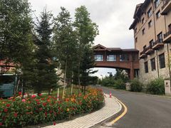 -长白山万达喜来登度假酒店