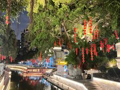 -荔湾湖公园