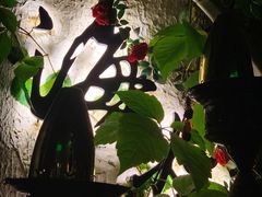 -Sirena海妖日咖夜酒