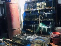 水产区-香满居张记小厨私房菜(青岛站店)