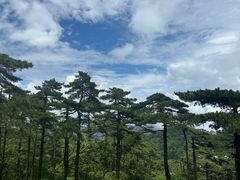 -黄山风景区