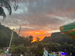 -重庆海昌加勒比海水世界