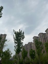 -Oasis Beauty水磨坊科技美肤中心