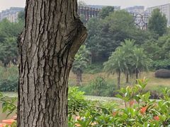 -枫香湖儿童公园