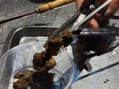 -烤肉季饭庄