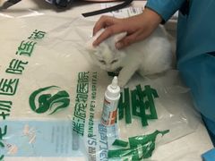 -瑞派宠物医院·24h·骨外科·皮肤科·全科宠物医疗转诊中心(沈阳浑南院)