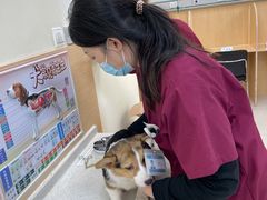-美联众合动物医院·24h京西诊疗中心