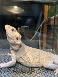 -酷嗒动物文化乐园(cutezoo西溪乐天城店)