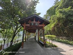 -重庆彩云湖湿地公园