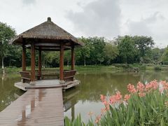-张坝桂圆林公园