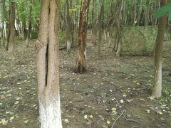 -亲兄弟真人CS团建拓展基地