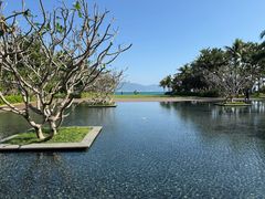 -三亚太阳湾柏悦酒店