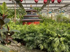 -南宫五洲植物乐园