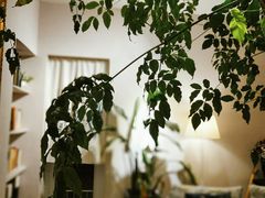 -默迹咖啡馆