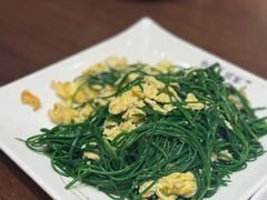 -靖远尕六美味羊羔肉