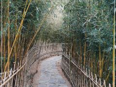 -竹子庵公园