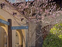 -静园(和平区)