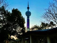 -南京古林公园