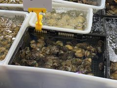 水产区-渔人湾码头海鲜市场负二楼