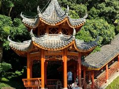 -阳台山森林公园