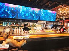 -杂咖zacup(领展中心城店)