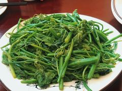 丝瓜尖-力力豆花庄(广渠门店)