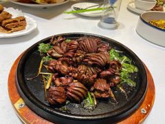 -紫光园·烤鸭(吕家营店)