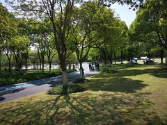 -上海吴淞炮台湾国家湿地公园