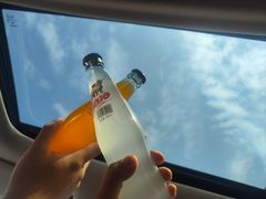 -高玛纳驴肉火烧(一世界店)