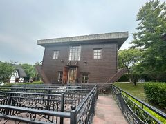 -金山农民画村-枫泾波兰倒置屋