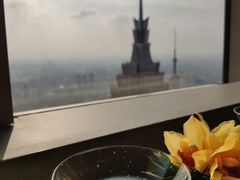 -The lounge 柏悦酒店大堂酒廊(上海环球金融中心店)