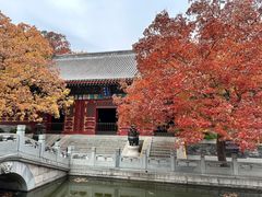 -香山公园