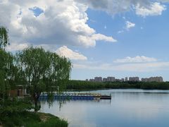 -大兴滨河森林公园