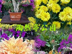-陶然亭公园