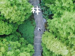 -桤木河湿地公园