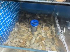 -宾朋海鲜饭庄(兴海路店)