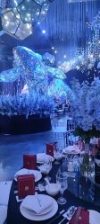 -格乐利雅婚礼艺术中心(浦东花木店)