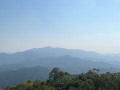 -水濂山森林公园