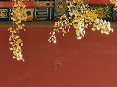 -故宫冰窖餐厅