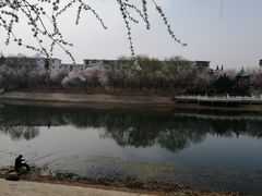 -桃花堤公园