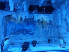 -华夏文旅海洋公园