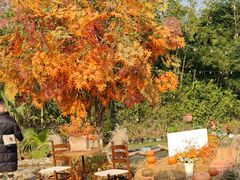 -HERRE·FARM 赫尔露营农场·团建聚会包场