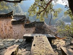 -杨家堂村