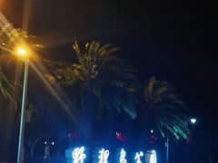 -野狸岛