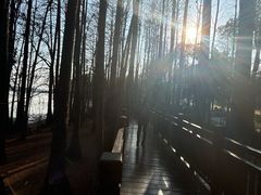-东湖落雁景区