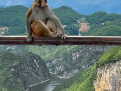 -重庆云阳龙缸景区