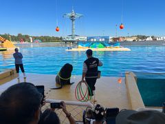 -秦皇岛乐岛海洋王国